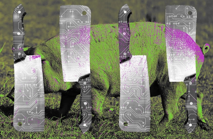 Recovering scammed assets should be easier with blockchain data but it’s not