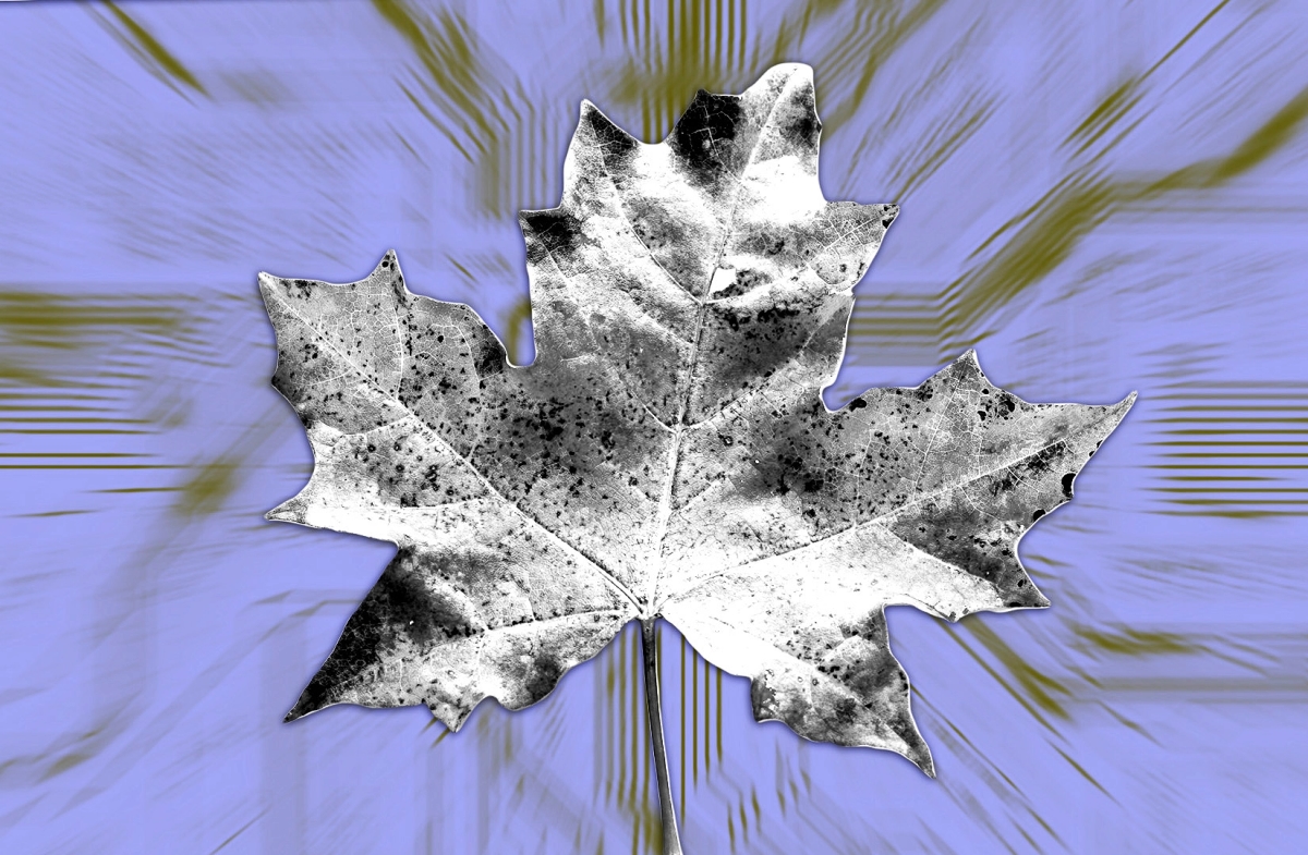 Why Maple is ditching under-collateralised lending: ‘No one’s profitable’