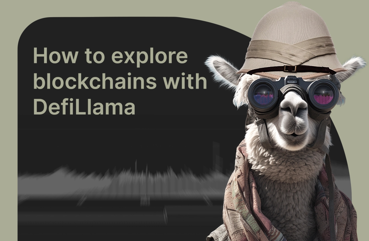 How to explore blockchains