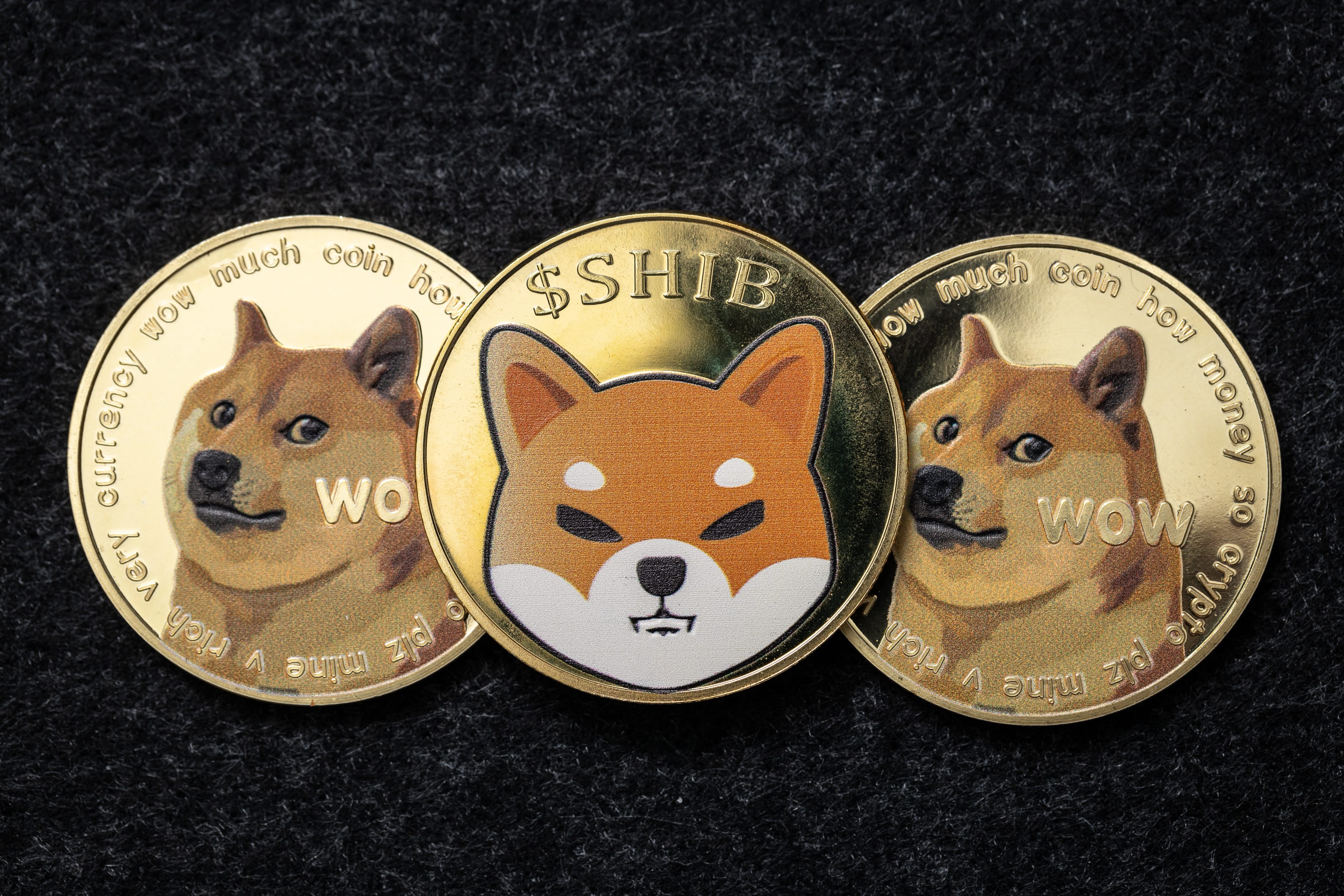 Kaufbeuren,,Germany,-,November,17,,2021.,Shiba,Inu,Coin,On