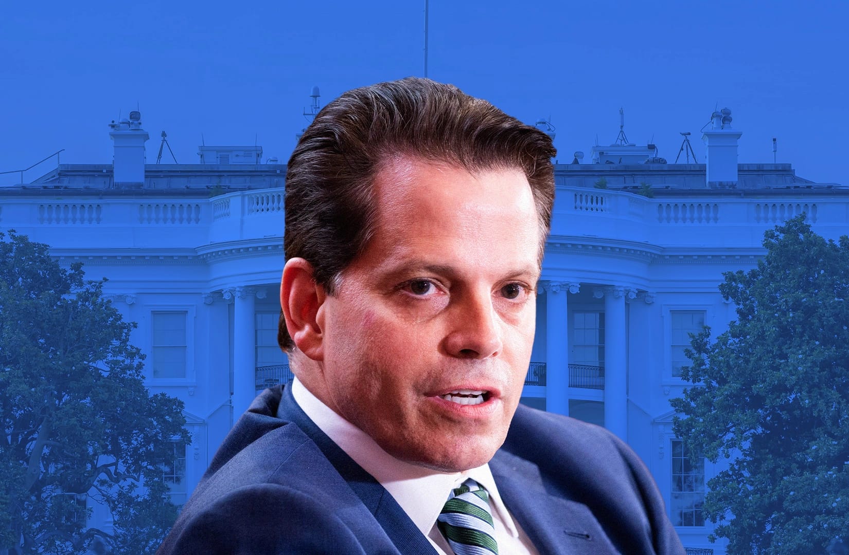 illustration of biden supporters with white house background