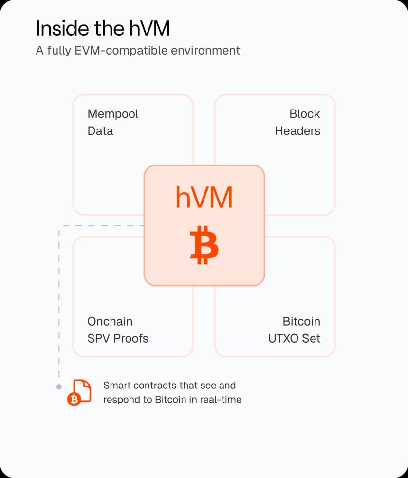 Inside the hVM