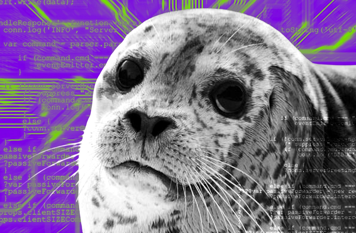 New Seal 911 team stops crypto thief mid-hack and saves $200,000