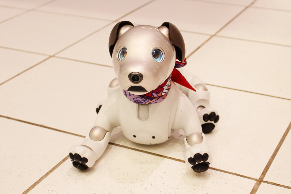 Traders seethe after Sony freezes memecoins on its new blockchain